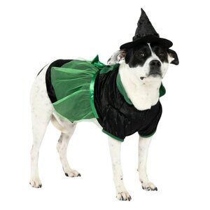 Bad Witch Costume for Dogs, Green and Black, Medium